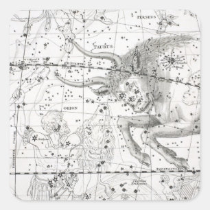 Map of The Constellations Plate XIV Square Sticker