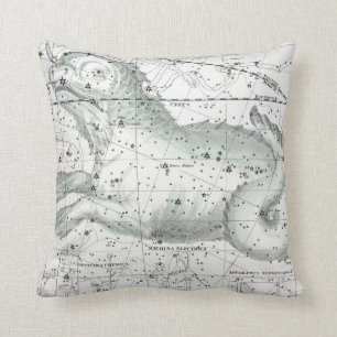 Map of The Constellations Plate XXIII Cushion
