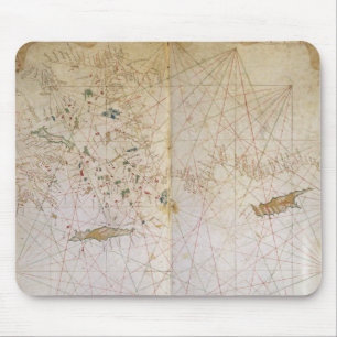 Map of the Eastern Mediterranean Mouse Mat