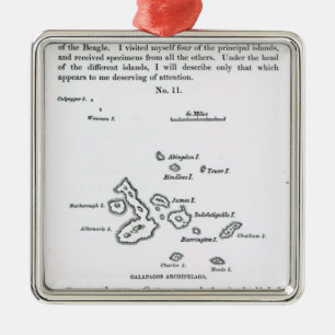 Map of the Galapagos Archipelago, 1844 Metal Tree Decoration