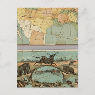 Map of the United States of America 2 Postcard