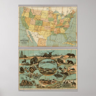 Map of the United States of America 2 Poster