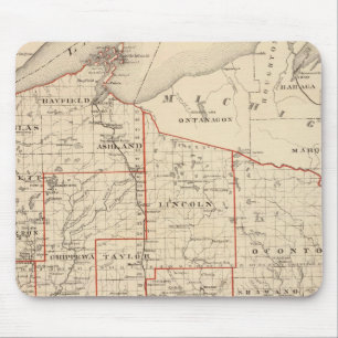 Map of Wisconsin, showing assembly districts Mouse Mat