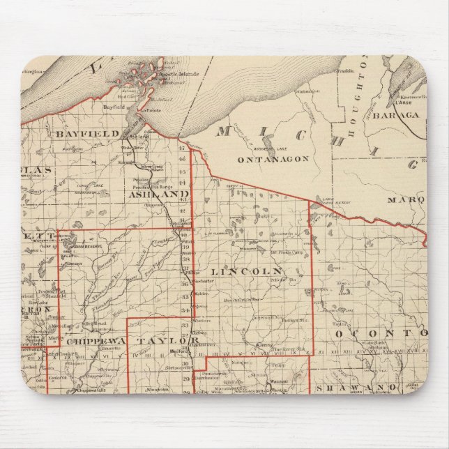 Map of Wisconsin, showing assembly districts Mouse Mat (Front)
