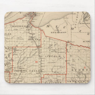 Map of Wisconsin showing senatorial districts Mouse Mat