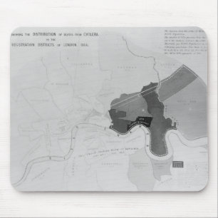 Map showing the Distribution of Deaths Mouse Mat