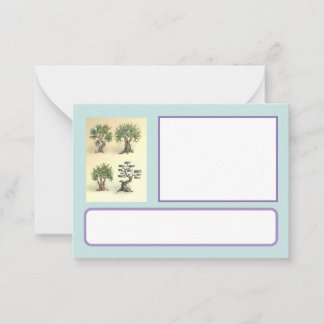 map with trimmed olive trees Provence. Card