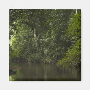 Mapari River, Mapari Rupununi, Guyana. Magnet