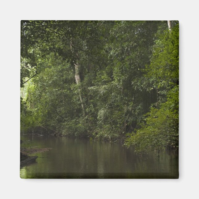 Mapari River, Mapari Rupununi, Guyana. Magnet (Front)