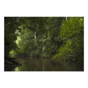 Mapari River, Mapari Rupununi, Guyana. Photo Print