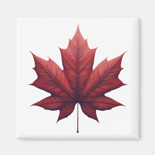 Mapel Leaf, Ahornblatt Magnet (Front)