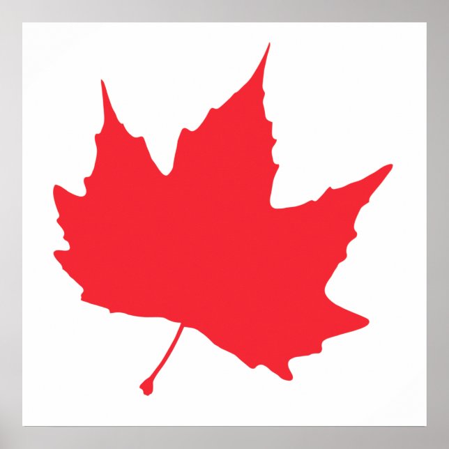 Maple autumn leaf poster (Front)