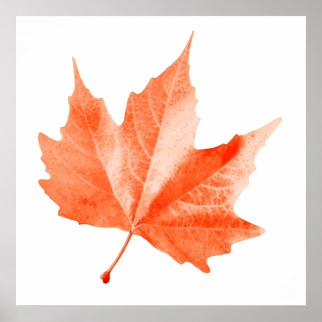 Maple autumn leaf poster (Front)