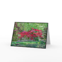 Maple Branch Greeting Card - Blank Inside