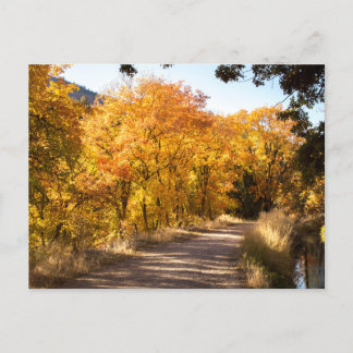 Maple Dell in Autumn Postcard