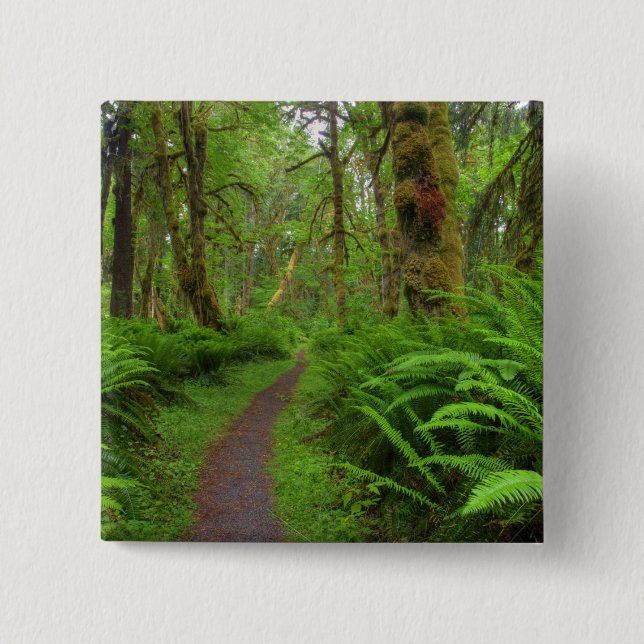Maple Glade trail, ferns and moss covered 15 Cm Square Badge (Front)