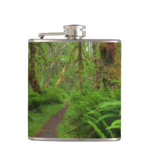 Maple Glade trail, ferns and moss covered Hip Flask