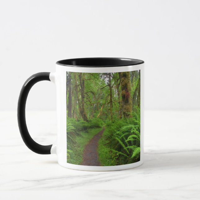 Maple Glade trail, ferns and moss covered Mug (Left)