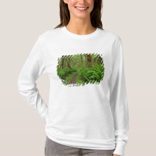 Maple Glade trail, ferns and moss covered T-Shirt