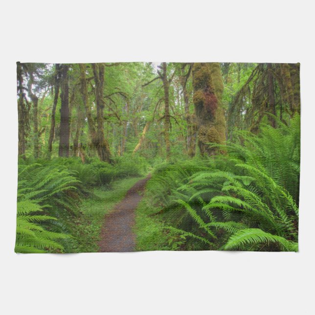 Maple Glade trail, ferns and moss covered Tea Towel (Horizontal)