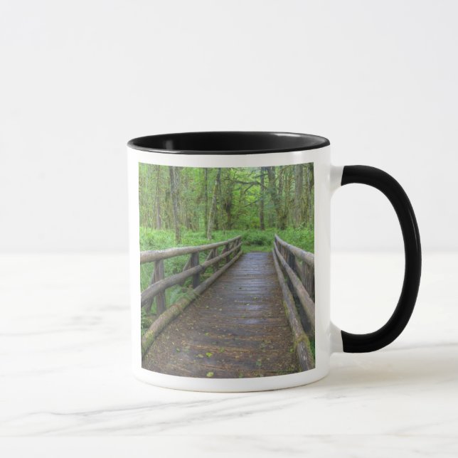 Maple Glade trail wooden bridge, ferns and Mug (Right)