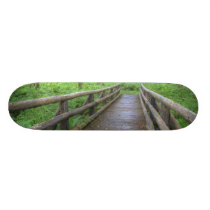 Maple Glade trail wooden bridge, ferns and Skateboard