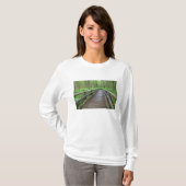 Maple Glade trail wooden bridge, ferns and T-Shirt (Front Full)