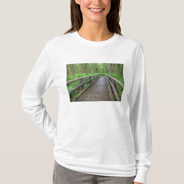 Maple Glade trail wooden bridge, ferns and T-Shirt (Front)