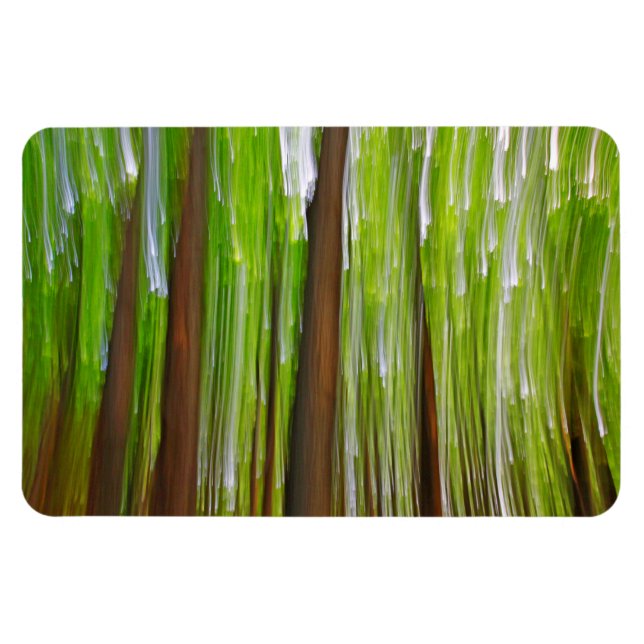 Maple Grove Abstract Magnet (Horizontal)