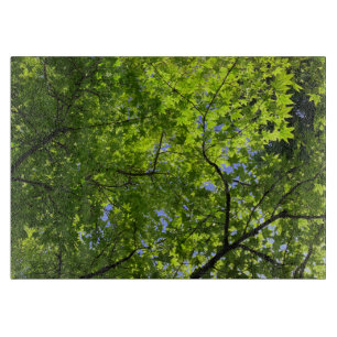 Maple in Spring   Cutting Board