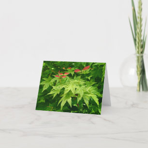 Maple in Spring Holiday Card
