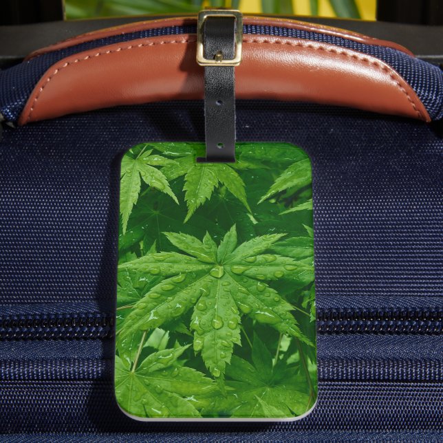 Maple in Spring Luggage Tag (Front Insitu 2)
