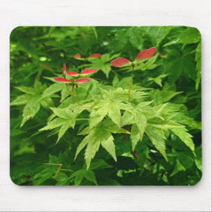 Maple in Spring Mouse Mat