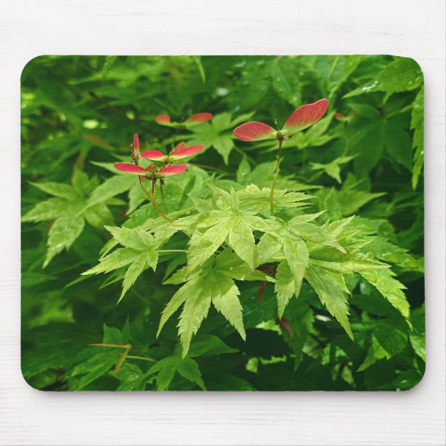 Maple in Spring Mouse Mat (Front)
