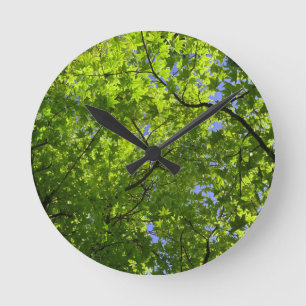 Maple in Spring  Round Clock