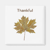 Maple leaf,  brown and gold tones