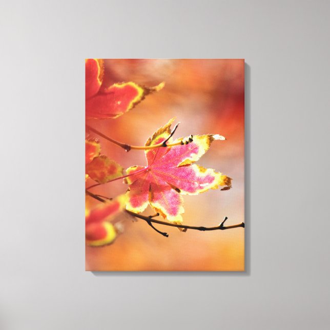 Maple Leaf Canvas Print (Front)