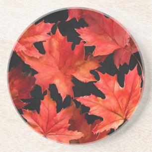 Maple Leaf Coaster