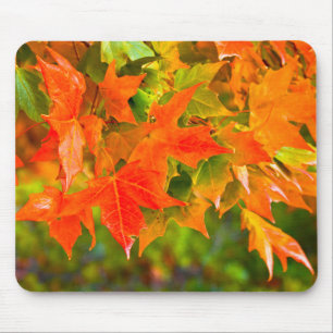 Maple Leaf Dance Mouse Mat