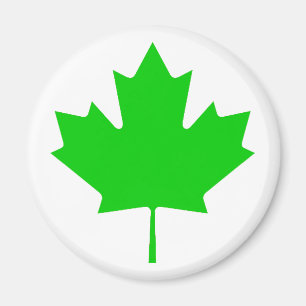 Maple Leaf Green Transp The MUSEUM Zazzle Gifts Magnet