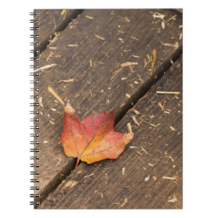 maple leaf minimalist fall photograph notebook
