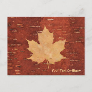 Maple Leaf On Inner Birch Bark Postcard