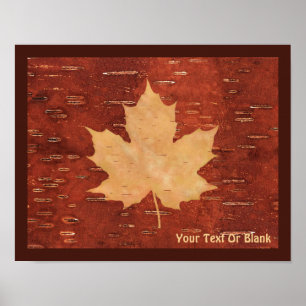 Maple Leaf On Inner Birch Bark Poster