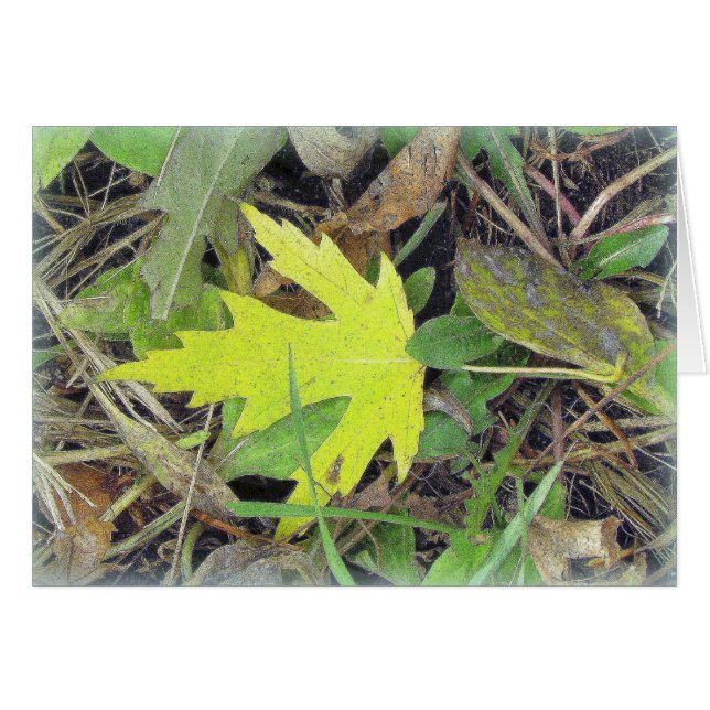 Maple Leaf on the grass (Front Horizontal)