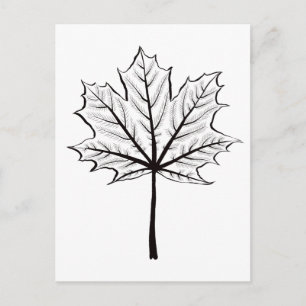 Maple Leaf Outline Art - Botanical Colouring Postcard