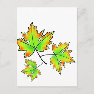 Maple Leaf Postcard