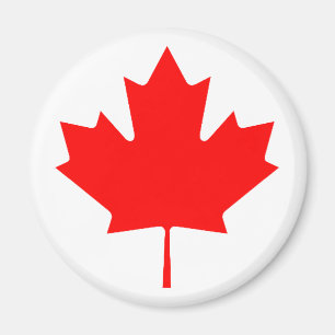 Maple Leaf RedTransp The MUSEUM Zazzle Gifts Magnet