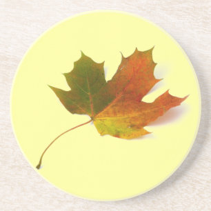 Maple Leaf Sandstone Coaster