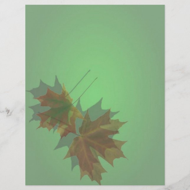 Maple Leave Flyer (Front)