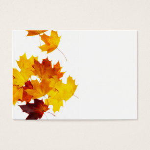 Maple leaves
